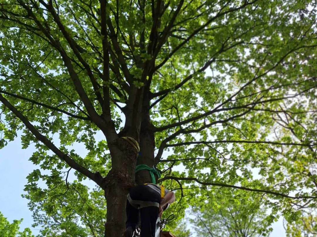 Park Linowy Kudowa-Kudowa-Zdroj必去景点