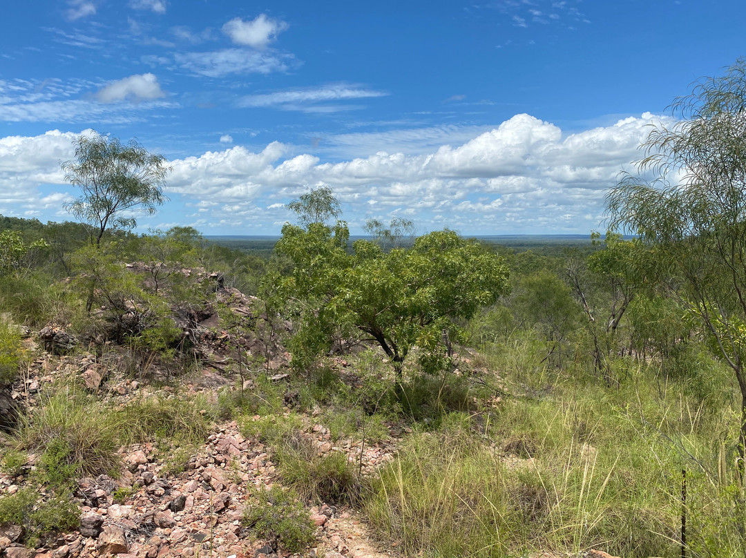 Litchfield National Park-达尔文市必去景点