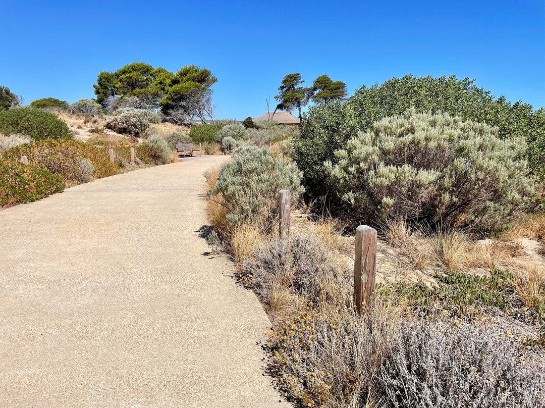 Minda Dunes Coastal Walk-Somerton Park必去景点