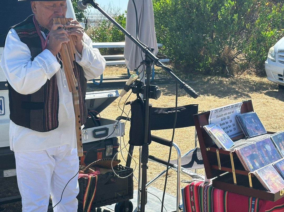 Wynyard Foreshore Market-温耶德必去景点