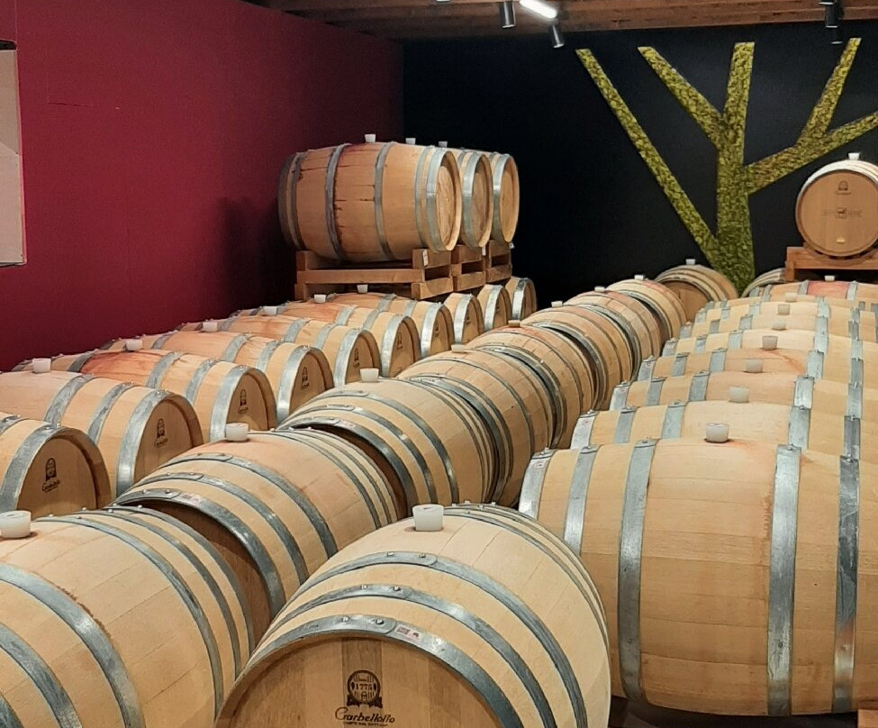 Tenuta Ulisse景点图片