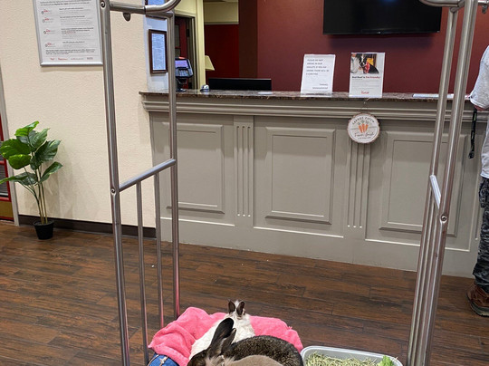 Red Roof Inn & Suites Albany, GA主图