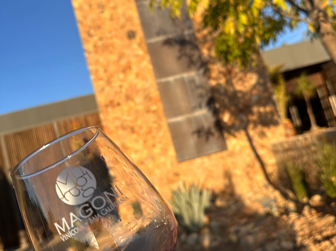 Valle De Vino Tours-Valle de Guadalupe必去景点