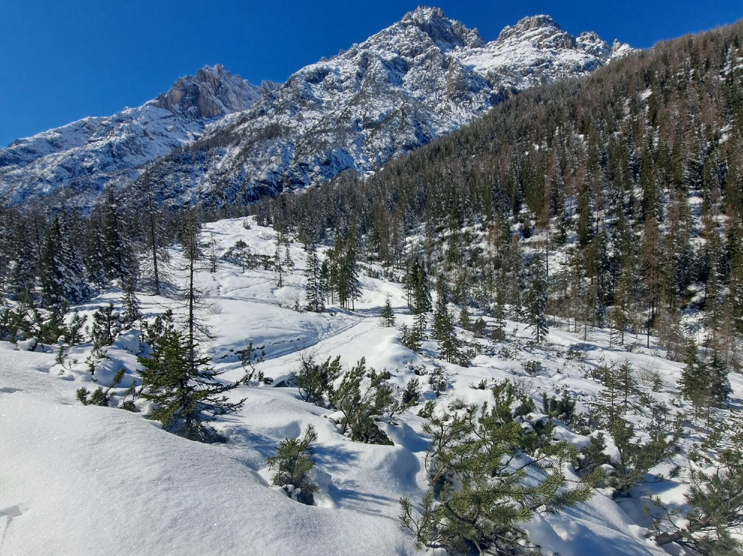 Escursione a Val Campo di Dentro - Rifugio Tre Scarperi景点图片