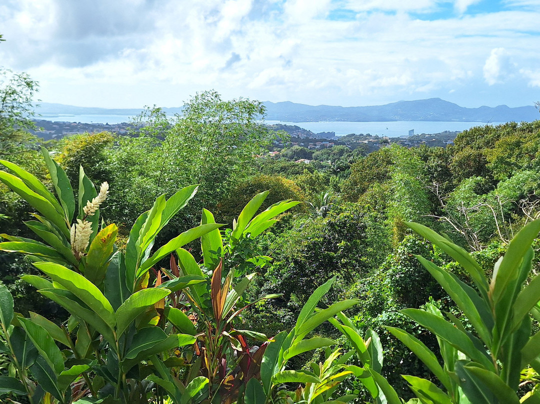 Karambole Tours-圣吕斯必去景点