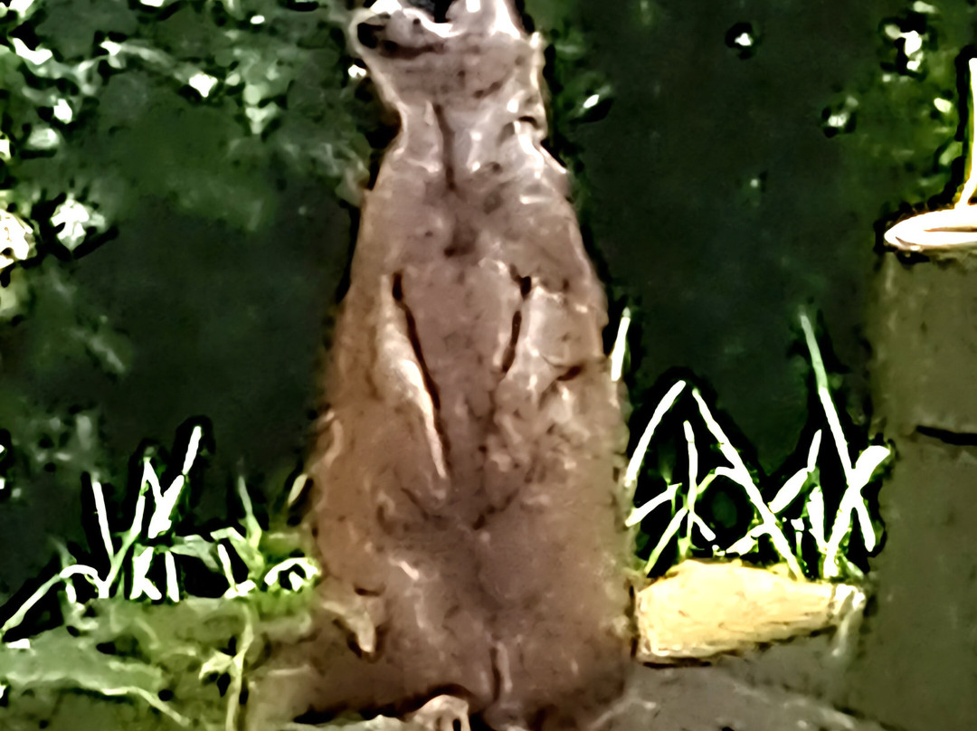 Tierpark Sababurg-Hofgeismar必去景点