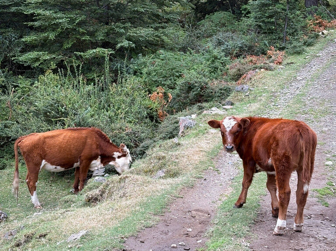 Piedra del Aguila-Futaleufu必去景点