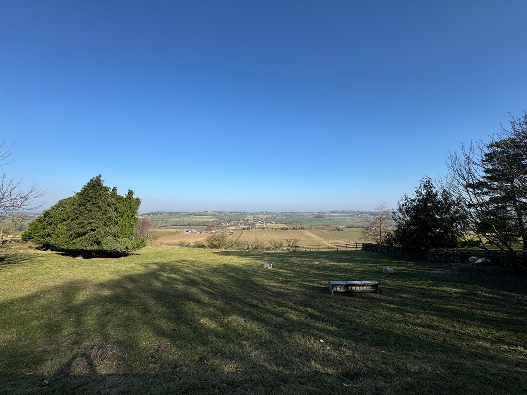 The Shoulder of Mutton Inn主图