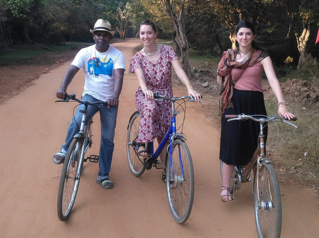 Aruna Tours Kandy-康提必去景点