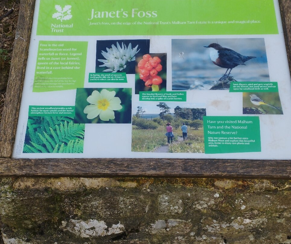 Janet's Foss景点图片