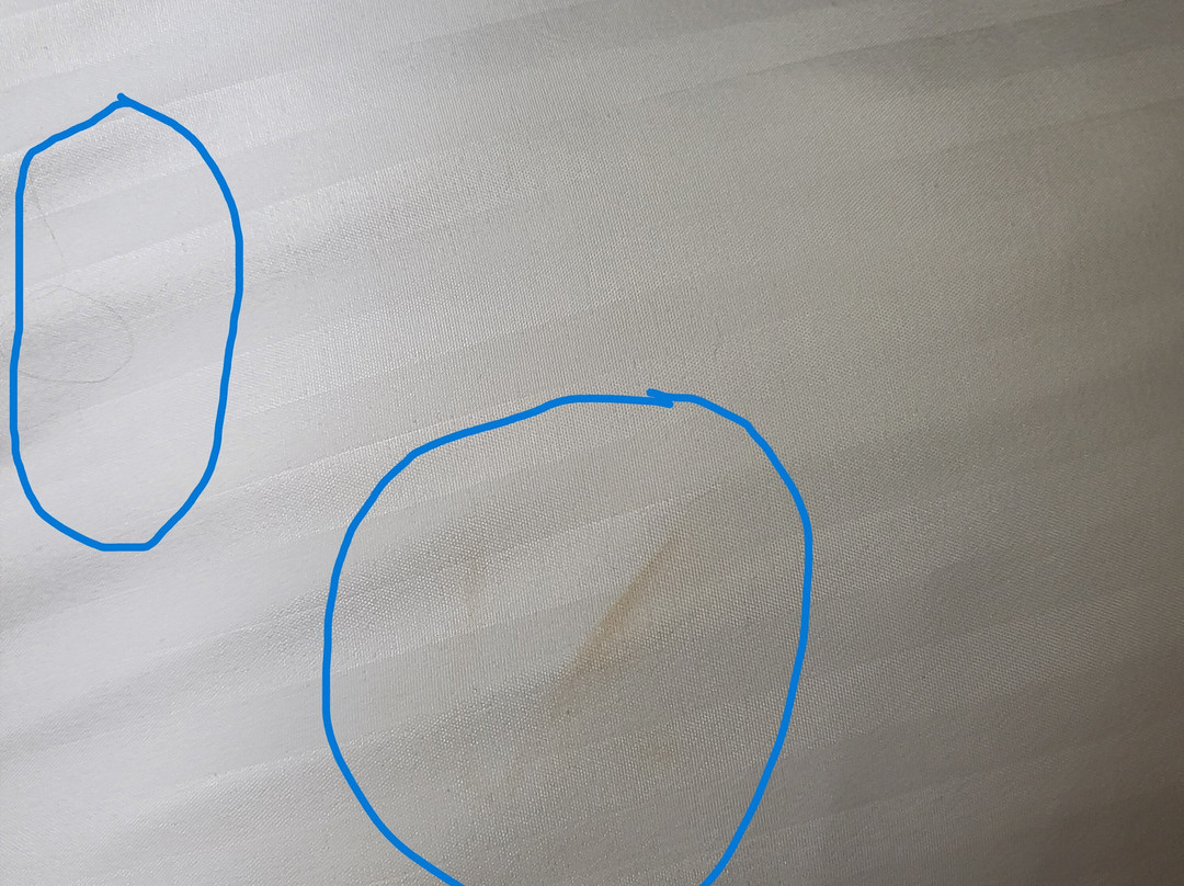 Best Western Lindale Inn主图