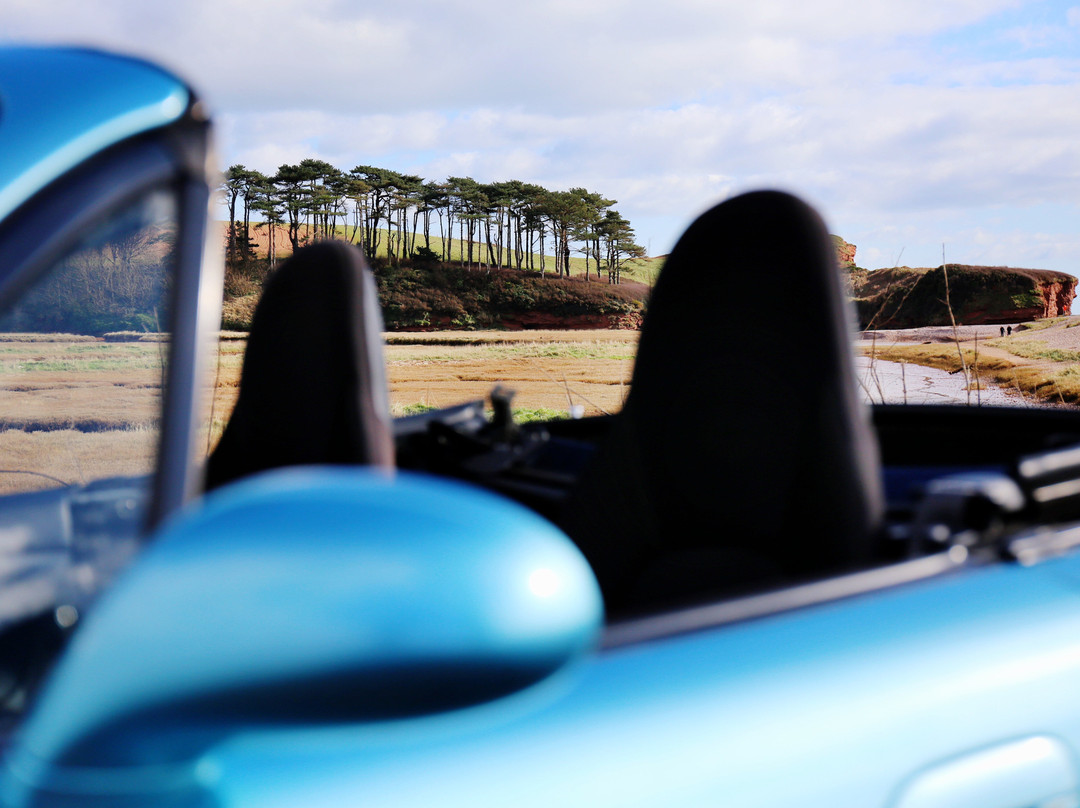 Drive Devon-Ottery St. Mary必去景点