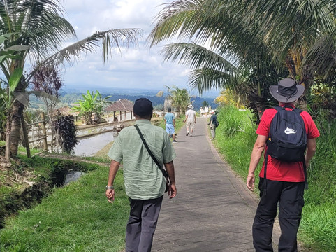 Bagus Holidays Bali - Day Tours-沙努尔必去景点