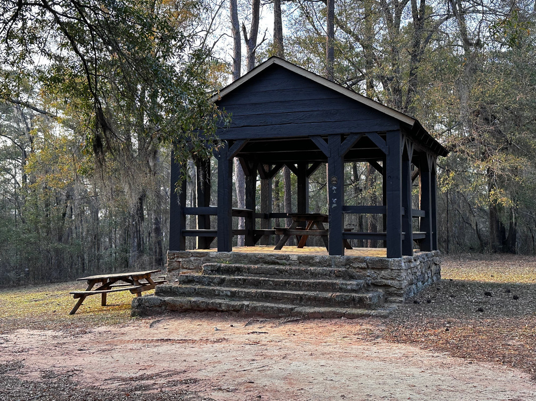Poinsett State Park-Wedgefield必去景点