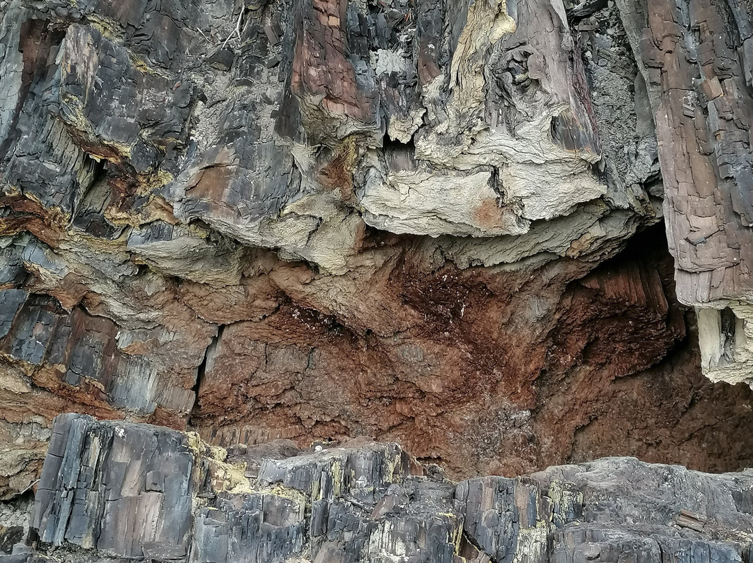 Foresta Fossile-Avigliano Umbro必去景点