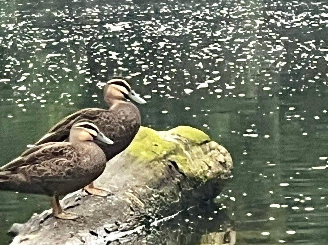 Kangaroo Valley Adventure Co.-袋鼠谷必去景点