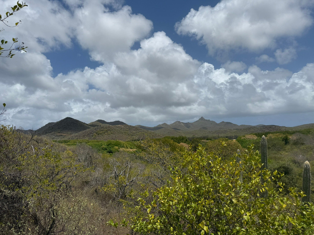Hòfi Mango-威廉斯塔德必去景点