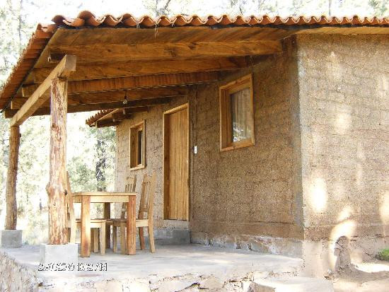 Cabanas Del Bosque主图