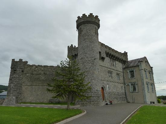 Carrigeen Castle主图