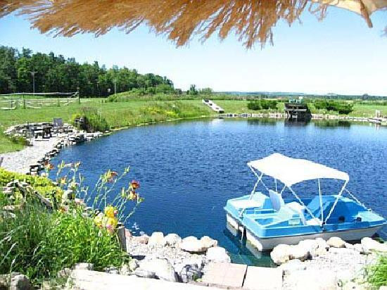 The Bella Ella Bed & Breakfast主图