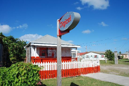 Palm Tree Guest House主图