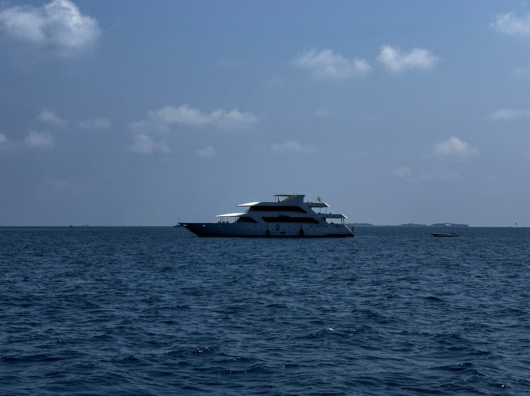 Macana Maldives-皮斯托亚必去景点