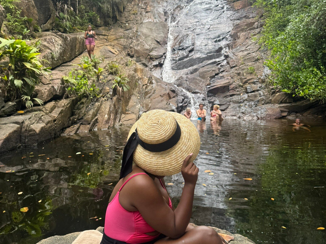 Sauzier Waterfall景点图片