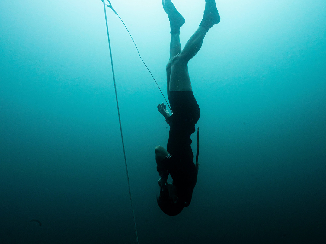 Freedivinglife Riviera Maya-普拉亚德尔卡曼必去景点
