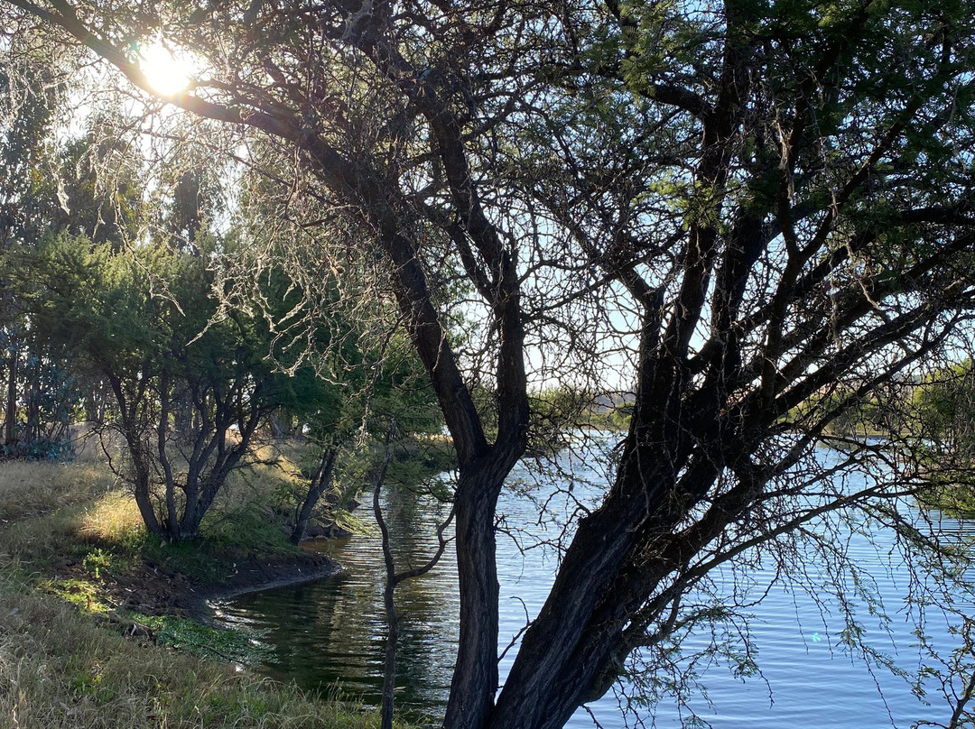 Embalse Mallermo-Marchihue必去景点
