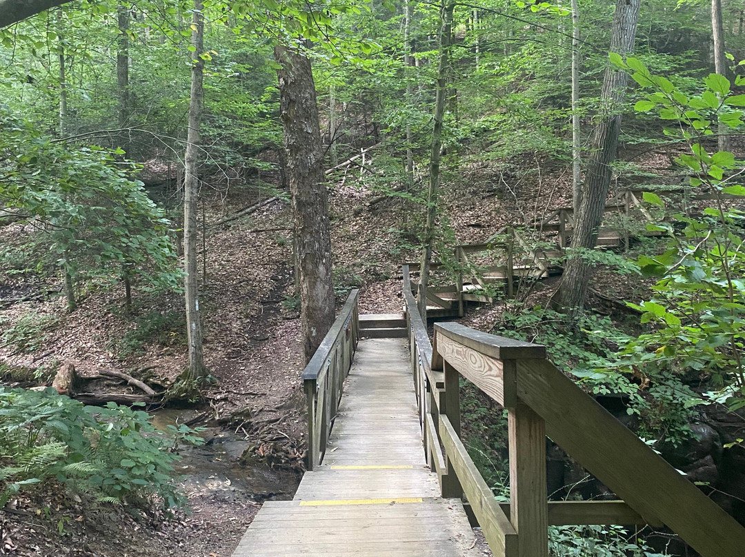 Mohican State Park-Loudonville必去景点