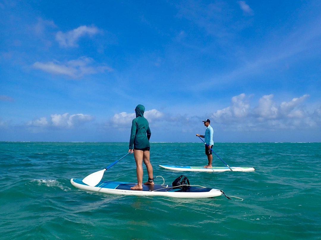 Stand Up Paddle Tobago-Canaan必去景点