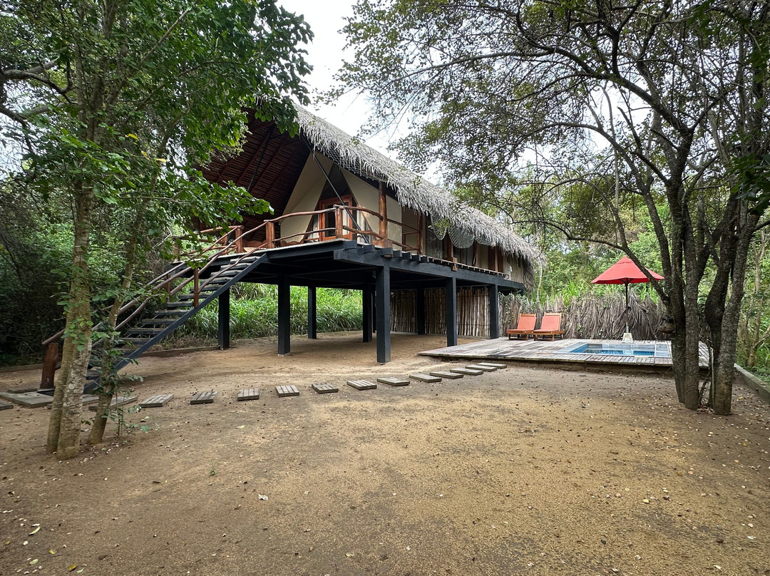 Thamaravila Wilpattu Luxury Tented Safari Villas主图