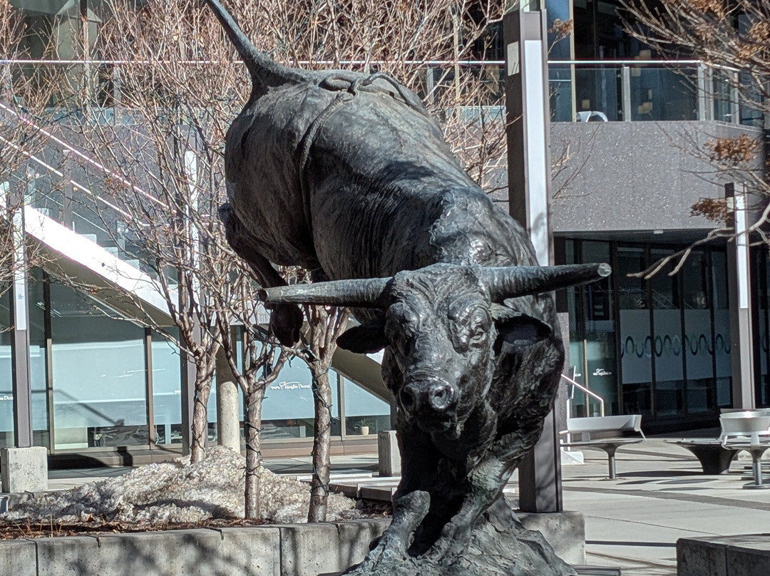 CalgaryWalks & Bus Tours-卡尔加里必去景点