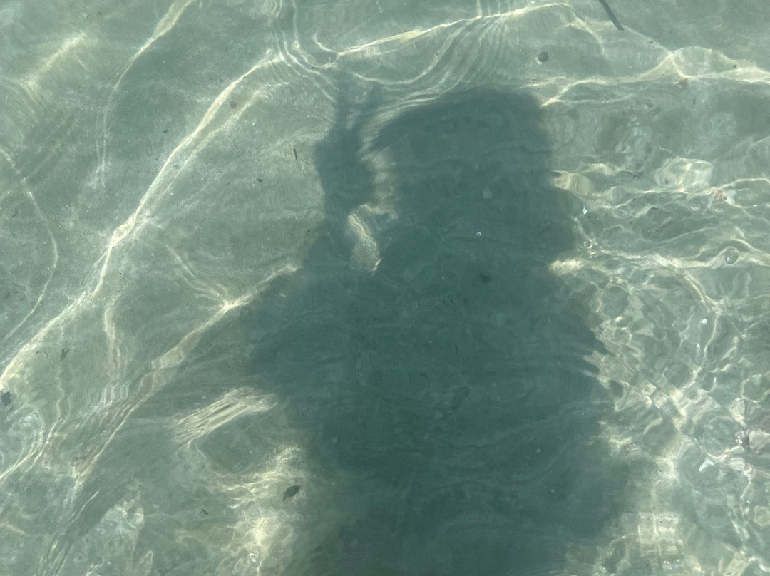 Shacks Beach-Isabela必去景点