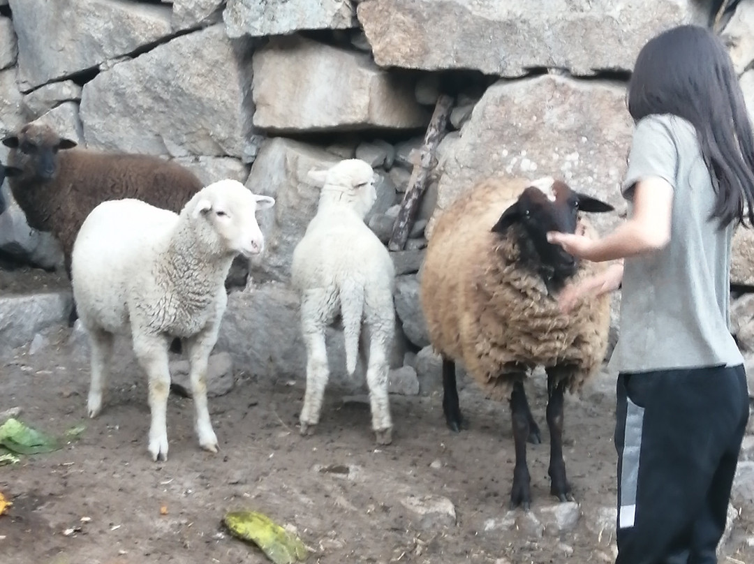 Quinta Do Luar-null必去景点