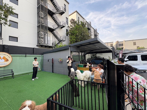 Zucca - The Pet Sanctuary & Cafe