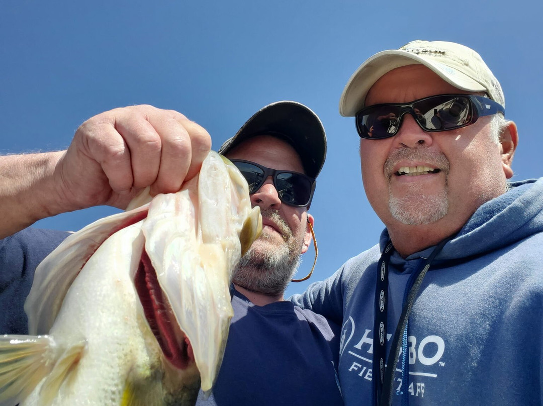 Roland Martin Marina-克莱维斯顿必去景点