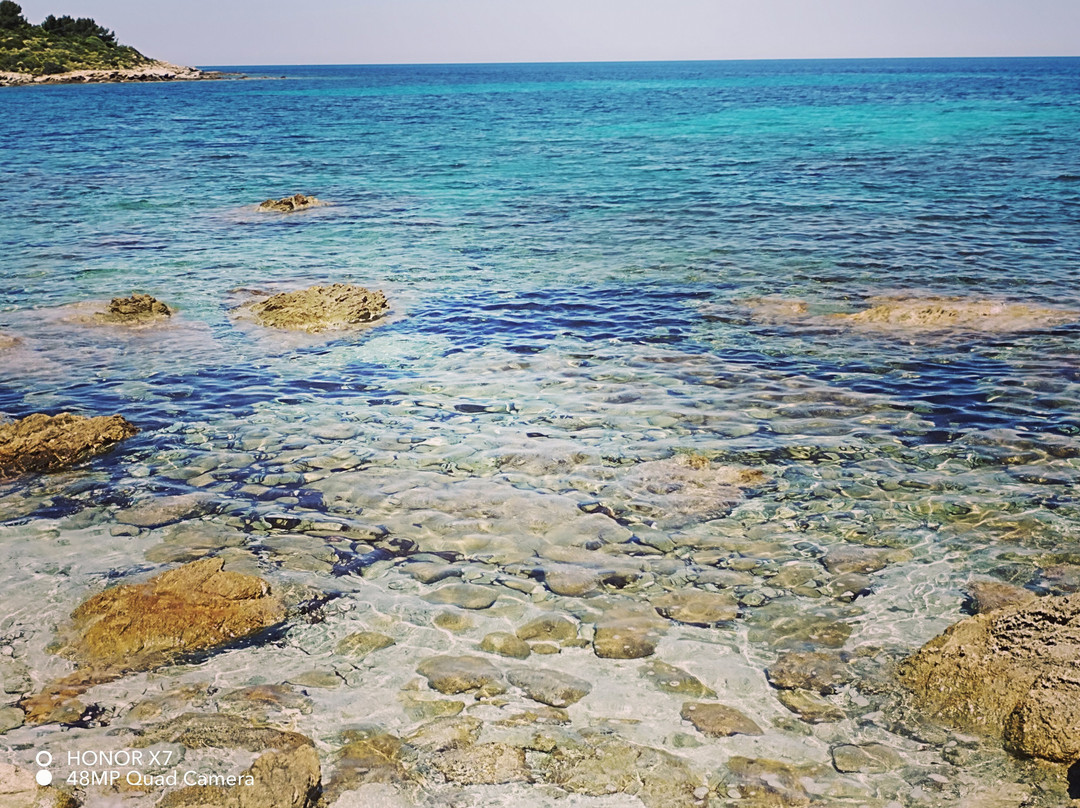 Saleccia Off Road景点图片
