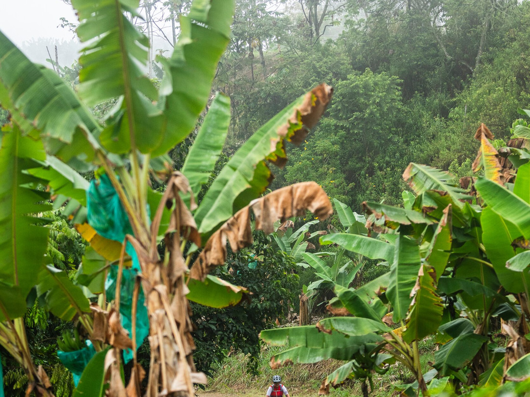 Pedal 1817 By Florida Bike Shop-Villamaria必去景点