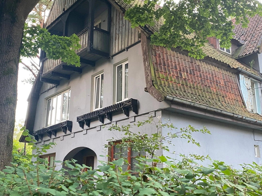 Villa Rosenhaus景点图片