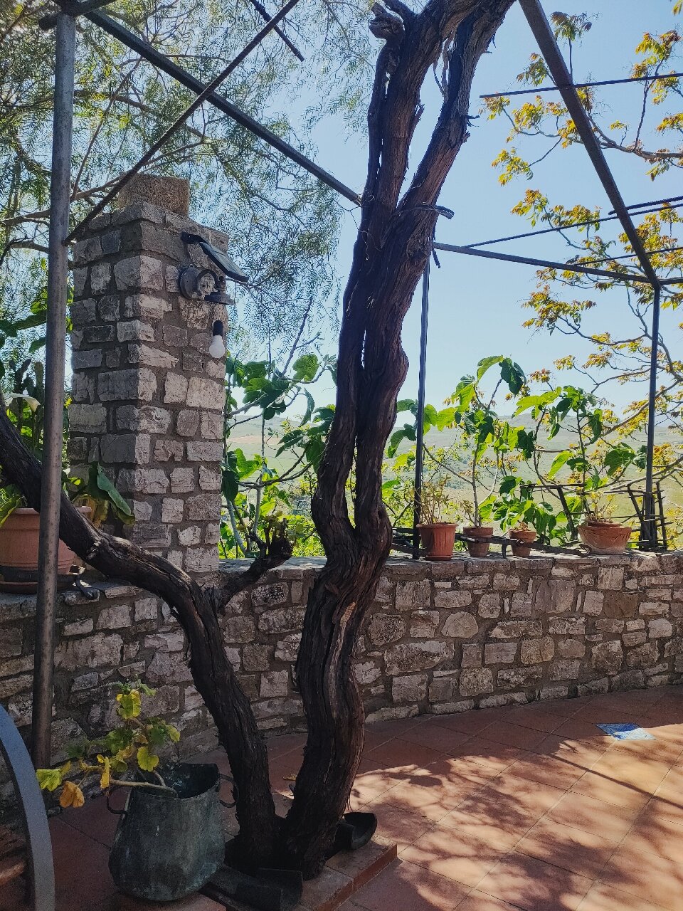 Agriturismo Capuano-官方