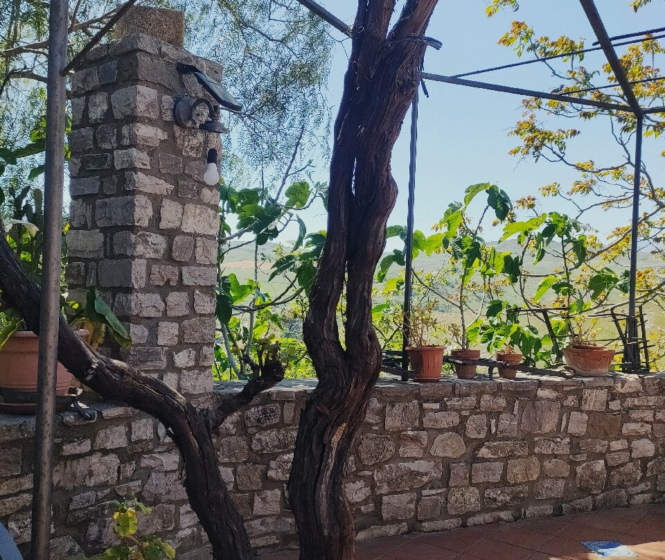 Agriturismo Capuano主图