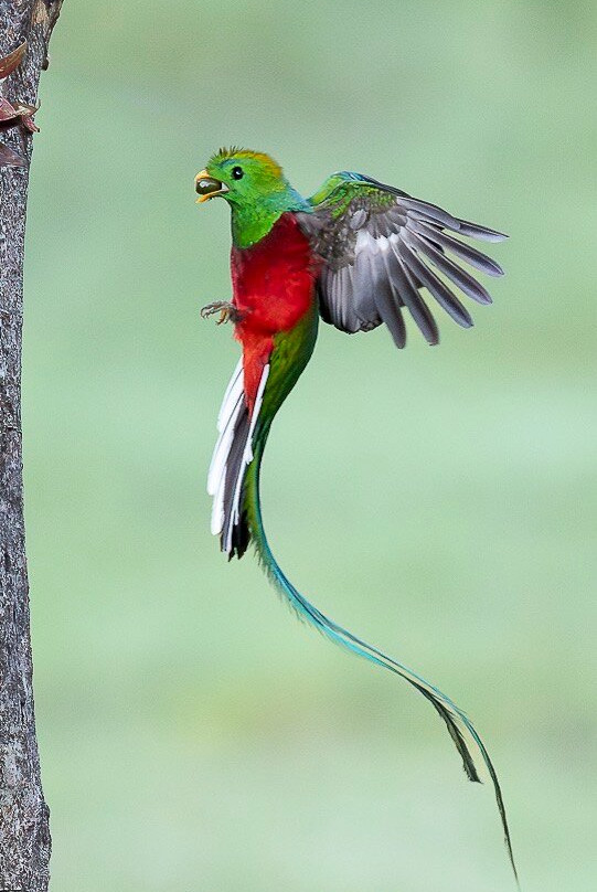 Geo Natura Tours-圣拉蒙必去景点