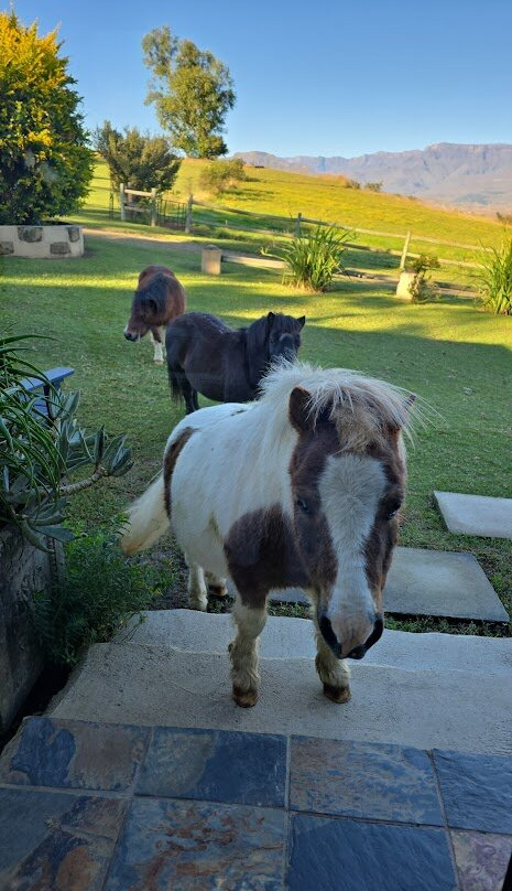 Berghouse and Cottages主图