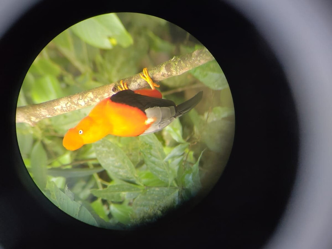 Manu Tour Operator  Expediciones Vilca-Manu必去景点