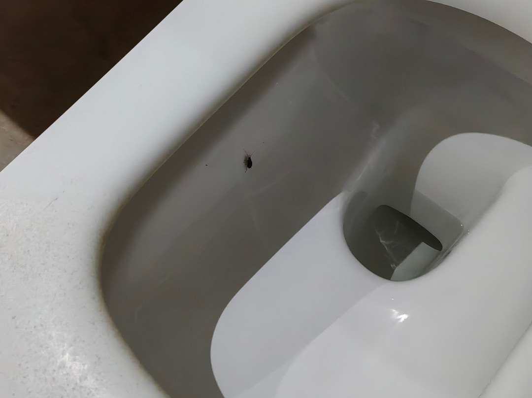 Loddey's Guest House主图