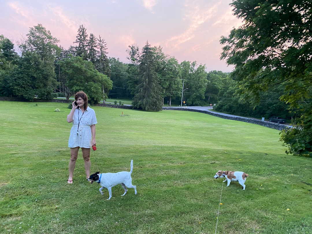 Clonmel Castle Luxury All-Inclusive Accommodations主图