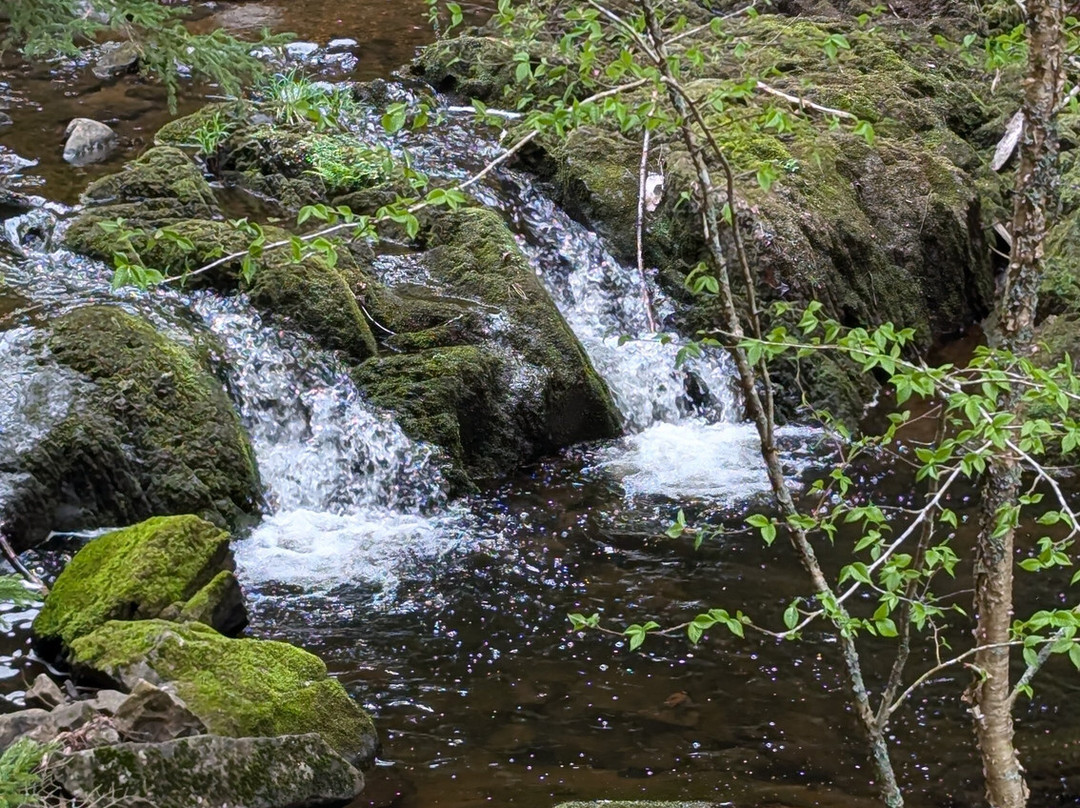 Victoria Park-Truro必去景点
