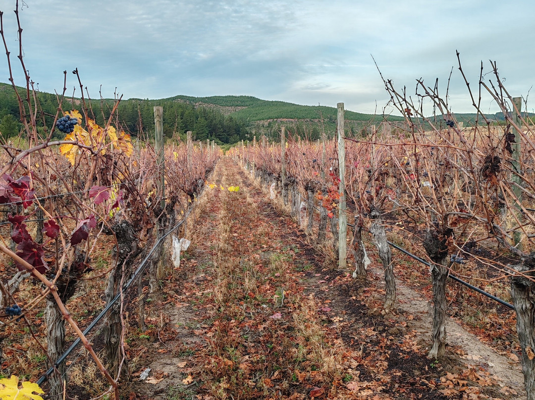 Casa Bouchon Hotel Boutique主图