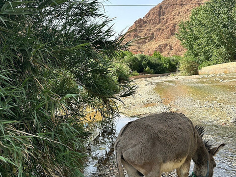 Ifoulki Morocco Travel-廷吉尔必去景点